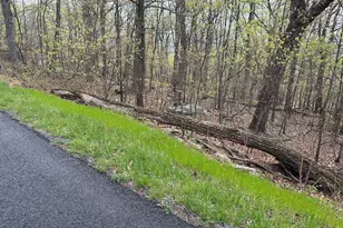 Lot 232 Inca Trail, Winchester, VA 22602 - Photo 1