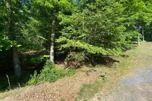 1114 Lakeview Dr, Cross Junction, VA 22625 - Photo 1