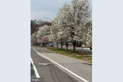 1403 Belle View Boulevard #B-1, Alexandria, VA 22307 - Photo 1