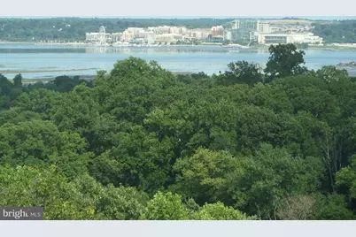 5904 Mount Eagle Drive #902, Alexandria, VA 22303 - Photo 1