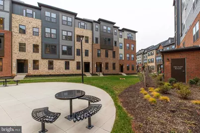 4357 Black Tulip Way, Chantilly, VA 20151 - Photo 1