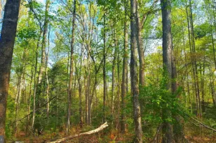 Lot 1045 Poplar Dr, Louisa, VA 23093 - Photo 1