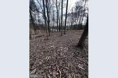 Lot 56 Compass Cove, Mineral, VA 23117 - Photo 1