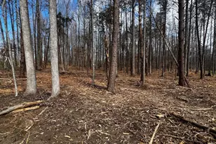 Lot 74 Compass Cove, Mineral, VA 23117 - Photo 1