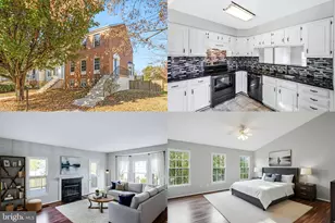 21031 Lemon Springs Terrace, Ashburn, VA 20147 - Photo 1