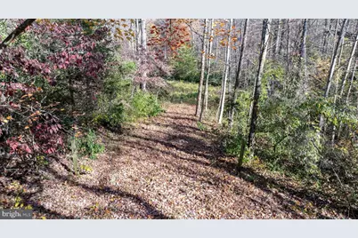 Tbd Pine Torch #78A, Madison, VA 22727 - Photo 1