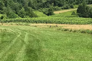 2188 Whippoorwill Rd, Madison, VA 22727 - Photo 1