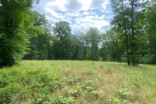 Lot 0012 Hope Ln, Orange, VA 22960 - Photo 1