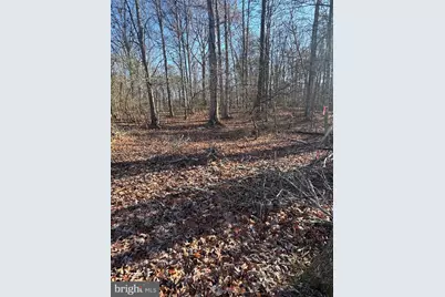 00 Cox Mill Road, Gordonsville, VA 22942 - Photo 1