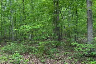 R/W Off Justice Dr, Orange, VA 22960 - Photo 1