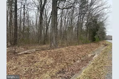 Swan Woods Road, Rhoadesville, VA 22542 - Photo 1