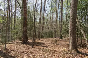 Diamond Glen Old Office Rd, Rhoadesville, VA 22542 - Photo 1