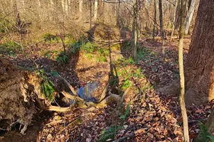 Waugh Rd, Unionville, VA 22567 - Photo 1
