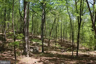 N Egypt Bend Rd, Luray, VA 22835 - Photo 1