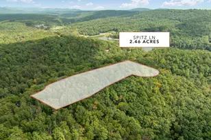 Tbd Spitz Ln, Basye, VA 22810 - Photo 1