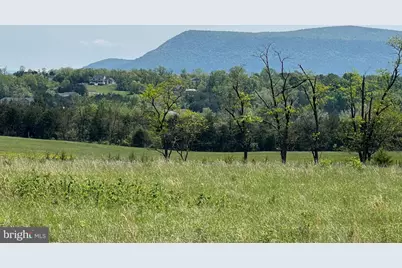 Tbd Back Road, Strasburg, VA 22657 - Photo 1