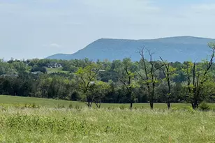 Tbd Back Rd, Strasburg, VA 22657 - Photo 1