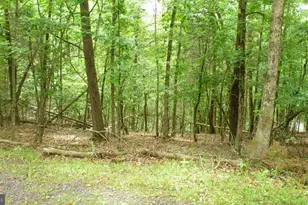 Lot 179 Stuart Dr, Basye, VA 22810 - Photo 1