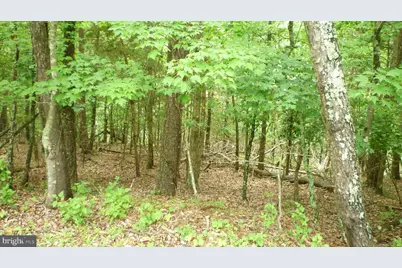 Lot 180 Stuart Drive, Basye, VA 22810 - Photo 1