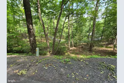 Dawn, Basye, VA 22810 - Photo 1