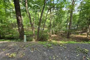 Dawn, Basye, VA 22810 - Photo 1