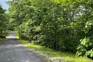 Lot 156 &amp 158 Vicki, Basye, VA 22810 - Photo 1