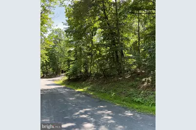 Tbd Willow Ln, Mount Jackson, VA 22842 - Photo 1