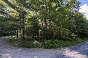 Mine Mountain Ln Lot 241, Fort Valley, VA 22652 - Photo 1