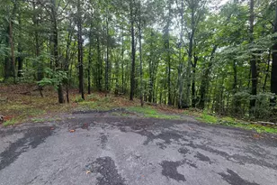 Ash, Mount Jackson, VA 22842 - Photo 1