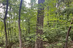 Lot 3 Tomahawk Ln, Edinburg, VA 22824 - Photo 1