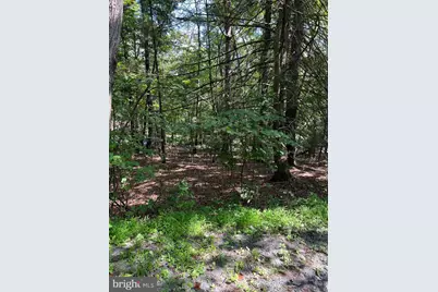 0 Crabapple, Mount Jackson, VA 22842 - Photo 1