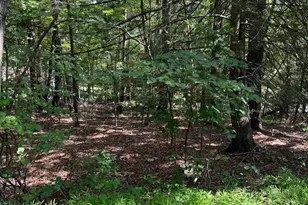 0 Crabapple, Mount Jackson, VA 22842 - Photo 1