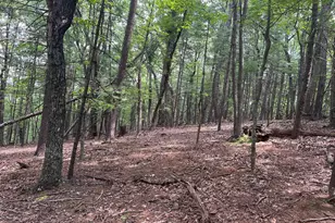 Timber Ridge, Mount Jackson, VA 22842 - Photo 1