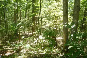 Lot 95 Willow Ln, Mount Jackson, VA 22842 - Photo 1