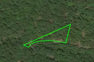 Lot 36 Nicklaus Dr, Basye, VA 22810 - Photo 1