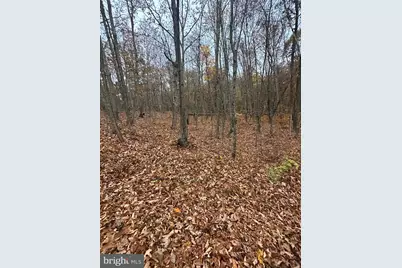 Lot 370 Crosswoods, Fort Valley, VA 22652 - Photo 1