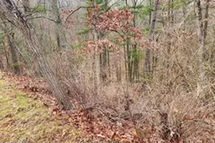 Moccasin, Basye, VA 22810 - Photo 1