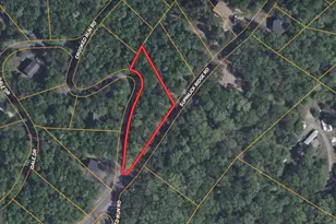 Supinlick Ridge Rd, Mount Jackson, VA 22842 - Photo 1