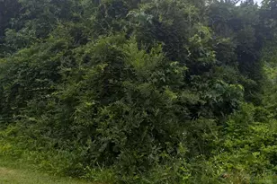 0 Lewis Estates Ln - Lot 3, Spotsylvania, VA 22553 - Photo 1