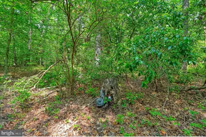 7830 Alsop Way, Spotsylvania, VA 22551 - Photo 64