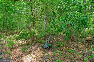 7830 Alsop Way, Spotsylvania, VA 22551 - Photo 64