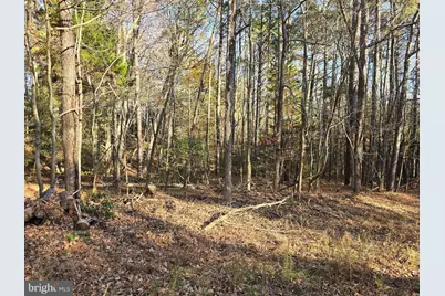 Lot 4 Falling Leaf Lane, Montross, VA 22520 - Photo 1