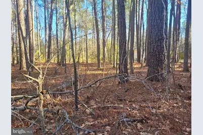 Lot 7 Diamond Drive, Hague, VA 22469 - Photo 1