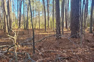 Lot 7 Diamond Dr, Hague, VA 22469 - Photo 1