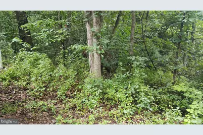 Lot 10 Magnolia Drive, Front Royal, VA 22630 - Photo 1