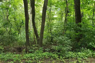 Lots 1-2 Blackbird Way, Front Royal, VA 22630 - Photo 1