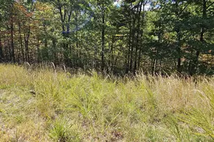 Lot 21 Moundbuilder Loop, Hedgesville, WV 25427 - Photo 1