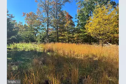 Petersburg Pike, Petersburg, WV 26847 - Photo 1