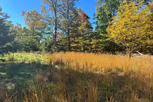 Petersburg Pike, Petersburg, WV 26847 - Photo 1