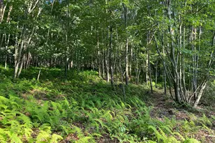 2 28 Ac Thorn Bottom, Lost River, WV 26810 - Photo 1